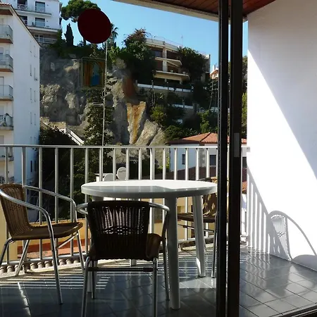 热带公寓 公寓 *